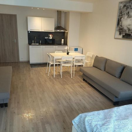 Brand New Studio Apartment #24 In Elite Residence With Free Secure Parking In The Center Prag Eksteriør billede
